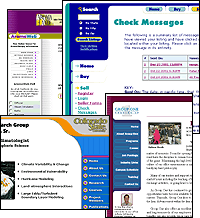 Web Applications & Sites Collage